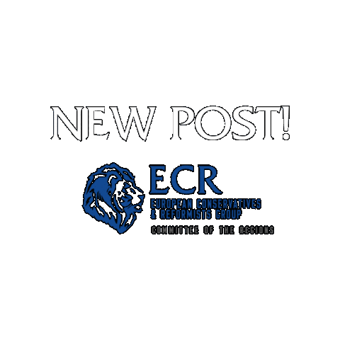 European Union Eu Sticker by ECR Group in the European Committee of the Regions