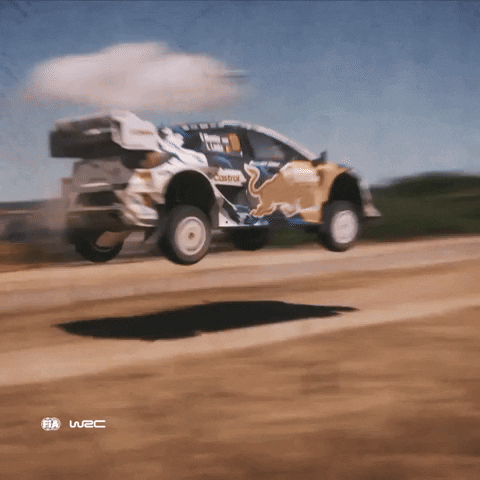 Ford Sport GIF by FIA World Rally Championship