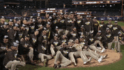 Mlb Postseason Baseball GIF by MLB