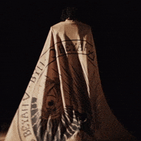 Cape Dems GIF