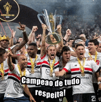 Spfcnacao_ santos palmeiras tricolor corinthians GIF