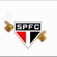 Spfcnacao_ santos palmeiras tricolor corinthians GIF