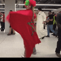 Champions Morocco GIF