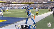 National Football League GIF by NFL