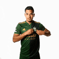 Portland Timbers Sport GIF by Timbers