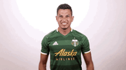 celebrate portland timbers GIF by Timbers