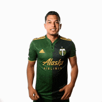 Portland Timbers Sport GIF by Timbers