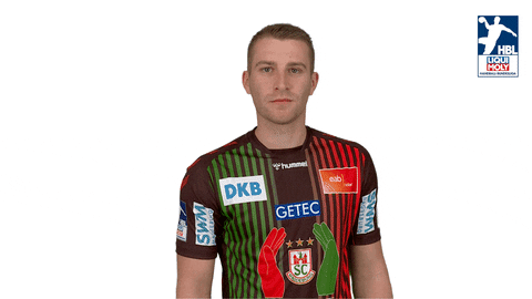 Handball-Bundesliga Fun GIF by DAIKIN HBL