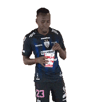 Football Sport Sticker by INDEPENDIENTE DEL VALLE