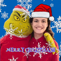 LiffyDurp christmas holiday magic merry christmas GIF