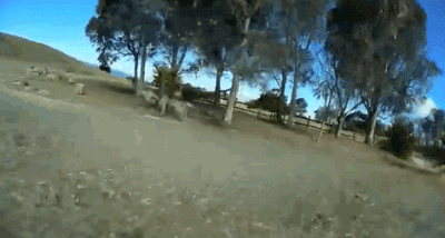 tech mic GIF