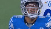 Detroit Lions Football GIF by NFL