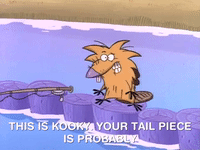 nickrewind nicksplat angry beavers GIF