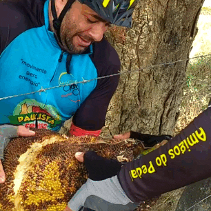 movimento-pedal giphyupload ciclismo fruta jaca GIF
