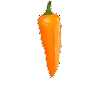 Sweet Pepper Garden Sticker by Ball Horticultural Co