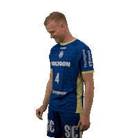 Handball Sticker by DAIKIN HBL