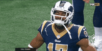 Los Angeles Rams Football GIF by NFL
