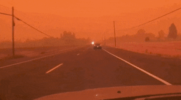 Orange Sky Wildfires GIF by GIPHY News