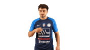 Goal Schiavo Sticker by GS Hockey Trissino