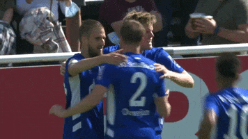 Goal Team GIF by FC Schalke 04