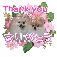 Ty 犬 Sticker