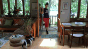 GIF by namslam