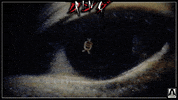 the ring film GIF by Arrow Video