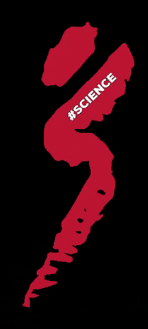 GEFO_Fitness_and_Health_GmbH giphygifmaker science gefo gesundheitsforum GIF