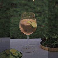 Cheers Alcohol GIF by Suryagarh Collection