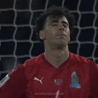 Qarabağ Fk GIF
