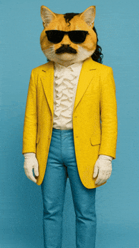 Kitty Kitten GIF by Jukebox Saints