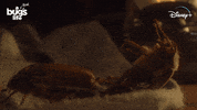 National Geographic Bug GIF by Nat Geo Wild