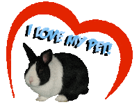 Guinea Pig Love Sticker