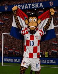 World Cup Futbol GIF by Boring Merch