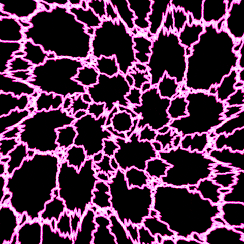 Art Spinning GIF