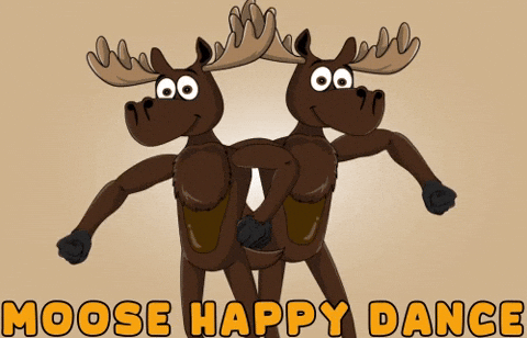 DoYouMoose giphyupload happy dance dancing GIF