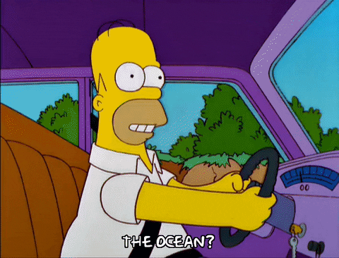 homer simpson episode 6 GIF