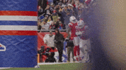 Hunter Henry Celebration GIF by New England Patriots