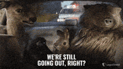 LegalShield party friday lit saturday GIF