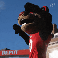 University Of Cincinnati Thumbs Down GIF by Cincinnati Bearcats