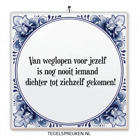 Humor Nl GIF by Tegelspreuken.nl