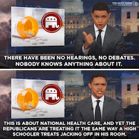 GIF by The Daily Show with Trevor Noah