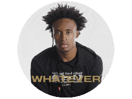 Players Association Idk Sticker by NBPA