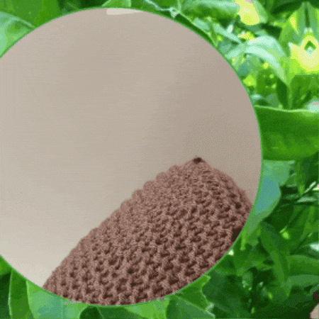 Relax Capybara GIF by TeaCosyFolk