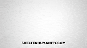 Logo Nft GIF by Persist ventures
