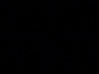 season 5 netflix GIF by Gilmore Girls 