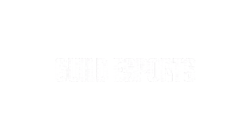 Guild Vct Sticker by VALORANT Esports