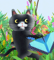 illustration cats GIF by Jeanloïc Nédélec