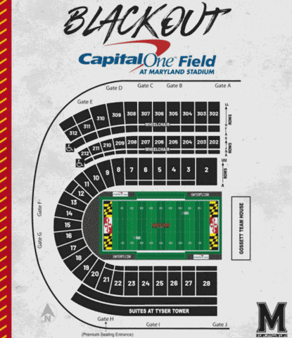 StateLionPro giphyupload nittanylions feartheturtle pennstatefootball GIF