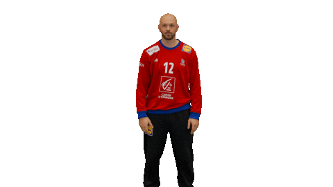 Vincent Gerard Ffhandball Sticker by Fédération Française de Handball